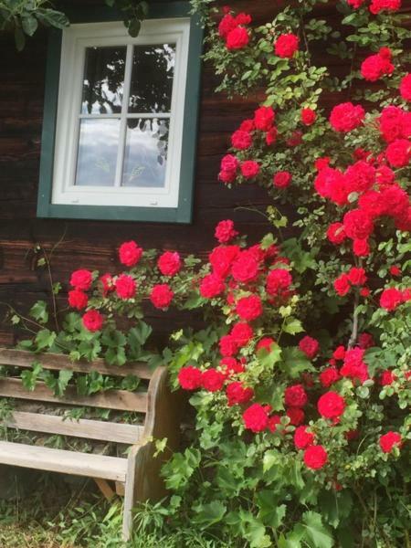 Biobergbauernhof Bergzeit Apartment In ゴールデック エクステリア 写真